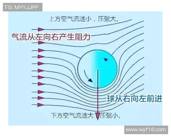 提升运动科学飞盘心理素质的有效训练方法与实践探讨