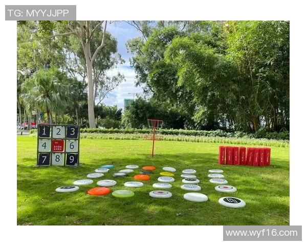 运动飞盘战术与杭州飞盘队运营体系的深度探讨与实践分析