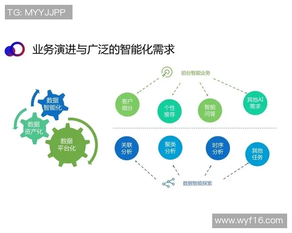体育实时数据武汉排球队比赛经验表现的数据分析与总结探讨