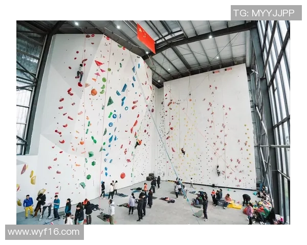 运动数据南京攀岩队防反体系探讨与战术分析之攀岩竞技新思路